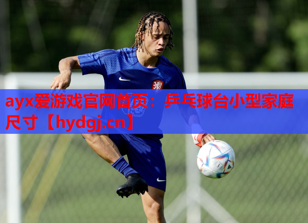 乒乓球台小型家庭尺寸 乒乓球台小型家庭尺寸