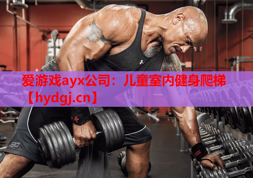 儿童室内健身爬梯 儿童室内健身爬梯