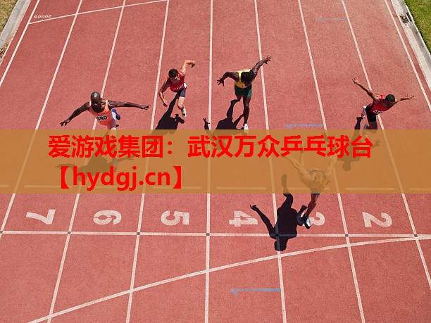 武汉万众乒乓球台