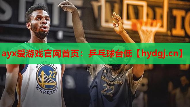 乒乓球台低 乒乓球台低