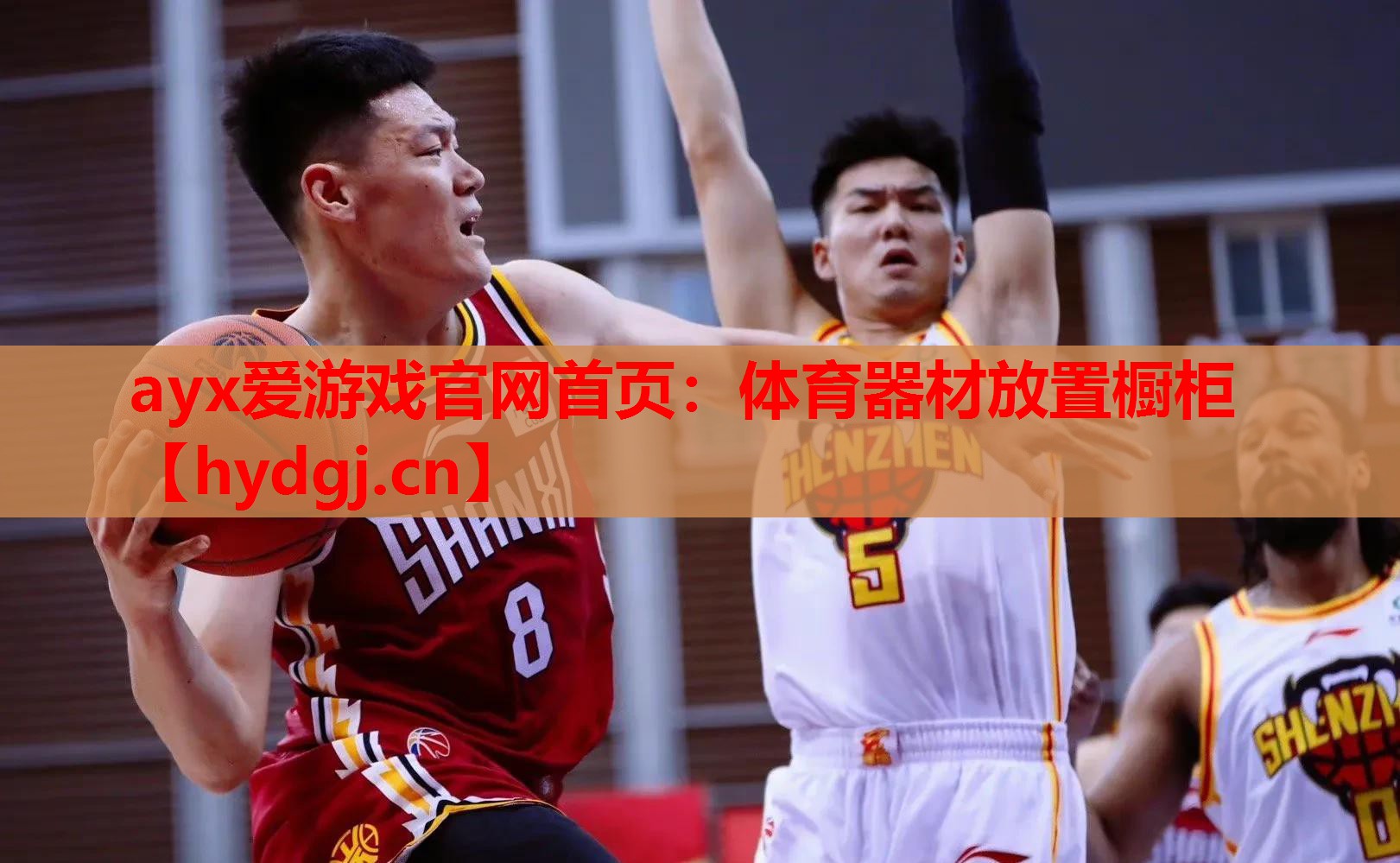 体育器材放置橱柜 体育器材放置橱柜