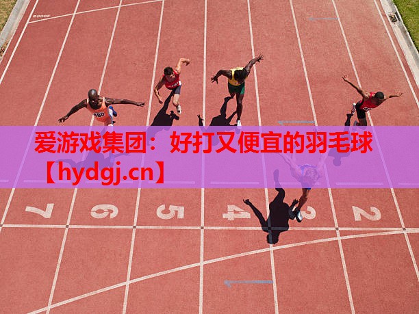 好打又便宜的羽毛球 好打又便宜的羽毛球