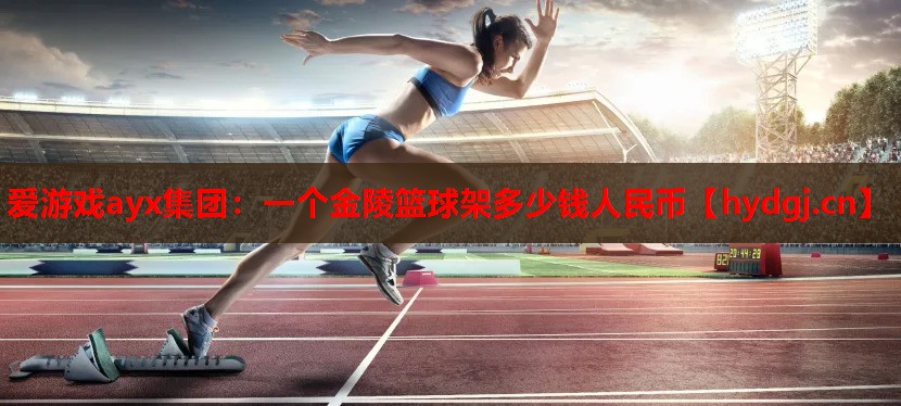 一个金陵篮球架多少钱人民币 一个金陵篮球架多少钱人民币