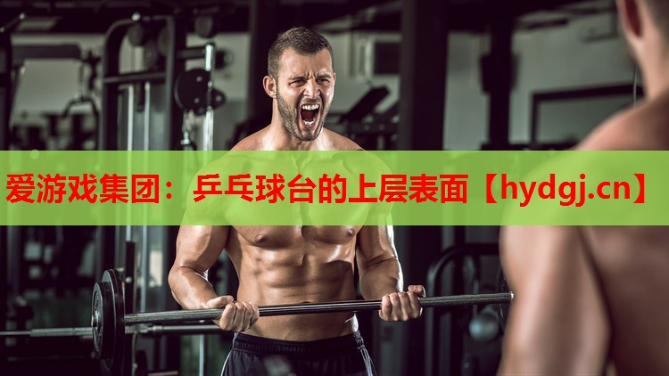 乒乓球台的上层表面 乒乓球台的上层表面