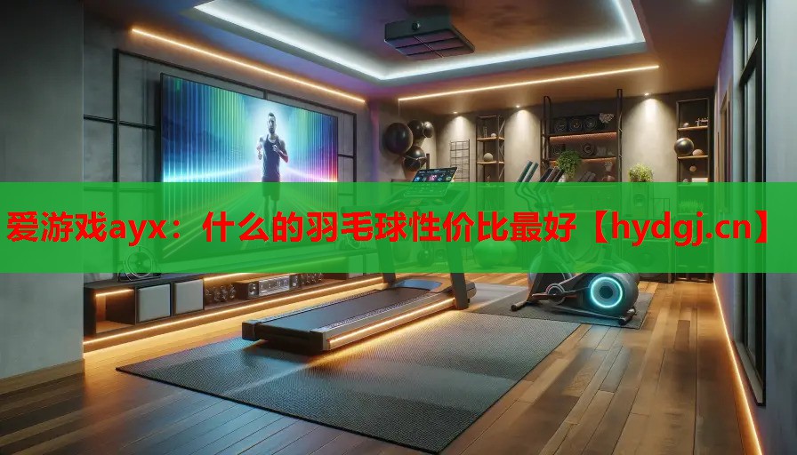 什么的羽毛球性价比最好 什么的羽毛球性价比最好
