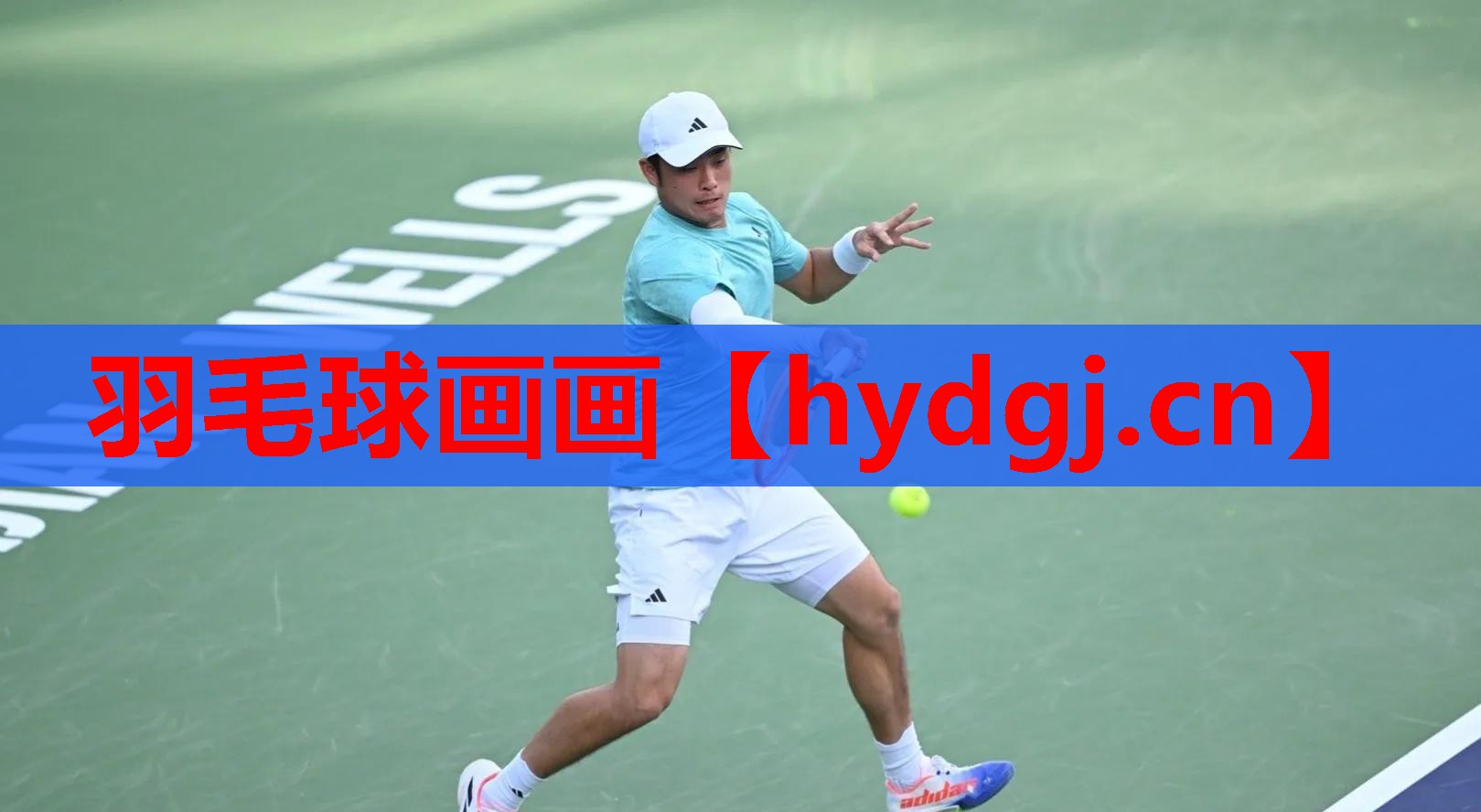 羽毛球画画 羽毛球画画