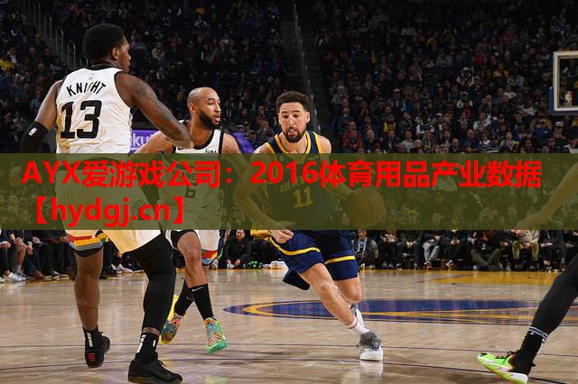 2016体育用品产业数据 2016体育用品产业数据