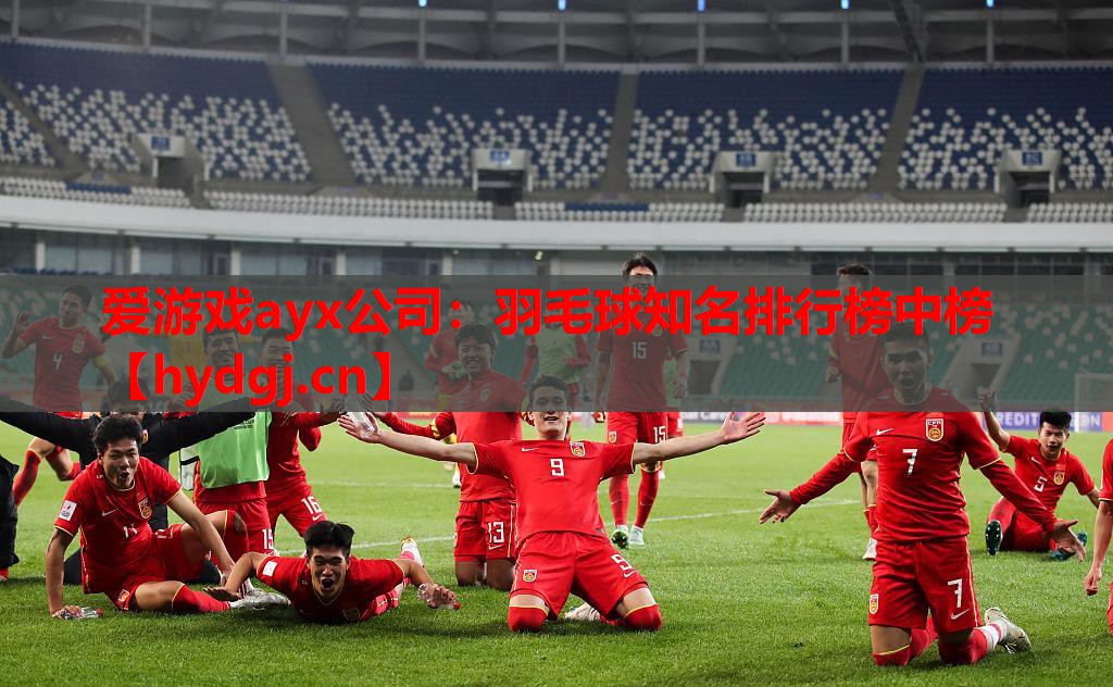 羽毛球知名排行榜中榜 羽毛球知名排行榜中榜