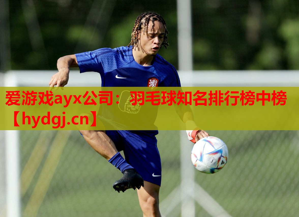 羽毛球知名排行榜中榜 羽毛球知名排行榜中榜
