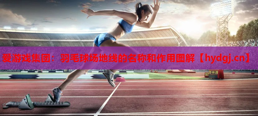 羽毛球场地线的名称和作用图解 羽毛球场地线的名称和作用图解